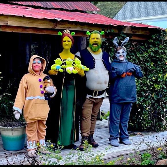 PRINCESS FIONA (2x) (movie Shrek) Curvy FABULOUS HALLOWEEN WON CONTEST COSTUME‼️ - Picture 11 of 12